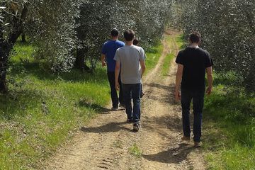 Ecotours