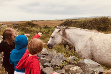 Children's activities