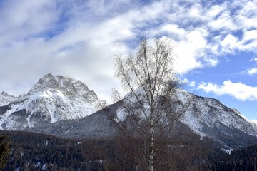 Mountain view
