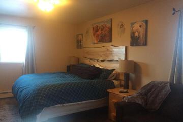 Photo 41