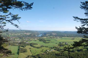 Photo 29