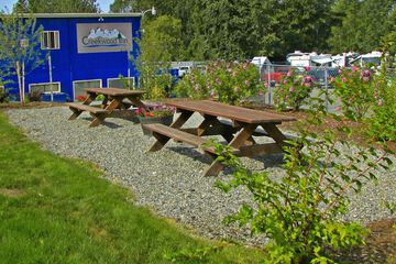 BBQ/picnic area