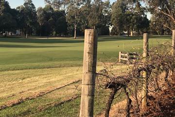 Golf view