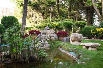 Photo 48
