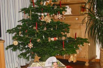 Photo 25