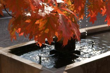 Fountain