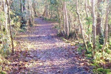 Hiking