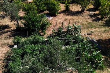 Photo 21