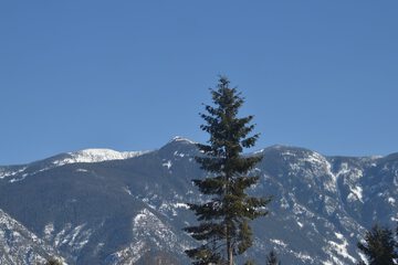 Mountain view