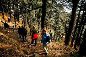 Hiking
