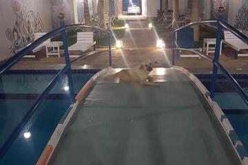Photo 56