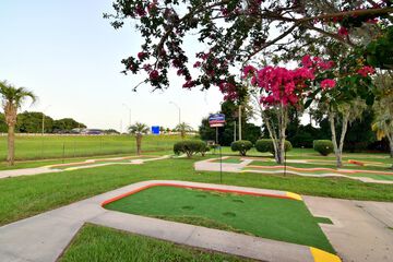 Mini-golf