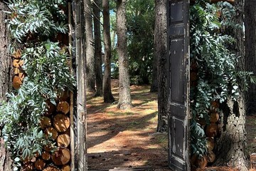 Outdoor wedding area