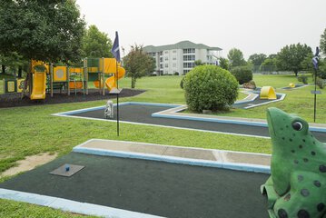 Mini-golf