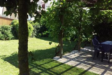 Photo 33