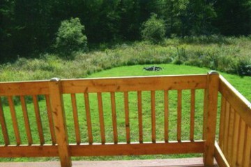 Terrace or Patio
