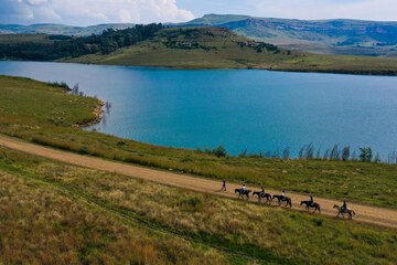 Horseback riding