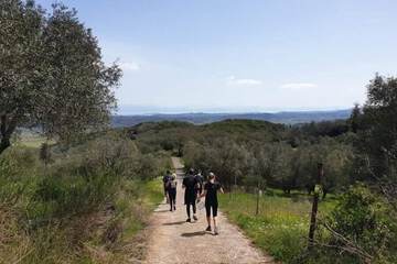 Hiking