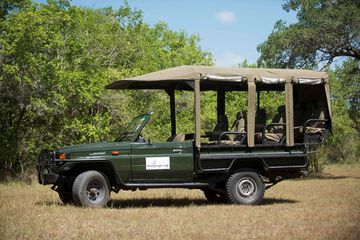 Safari