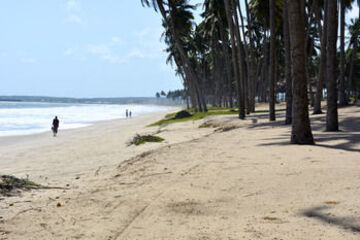 BBQ or Picnic Area