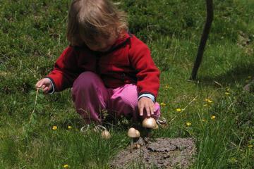 Photo 30