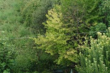 Photo 37