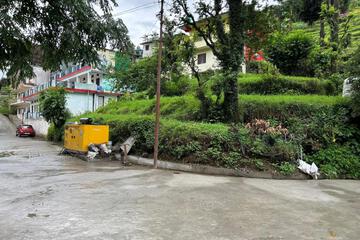 Photo 46