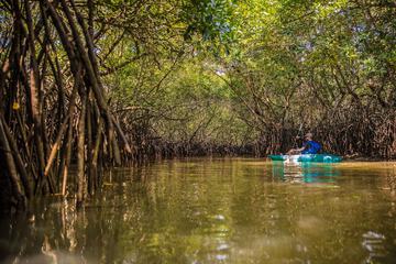 Kayaking