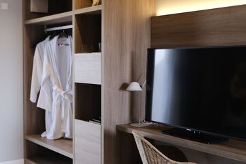 Television