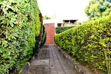 Property grounds