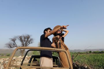 Safari