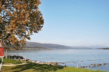 Lake view