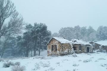 Photo 48