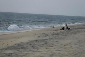 Photo 40