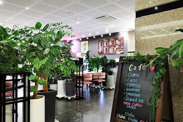 Cafe