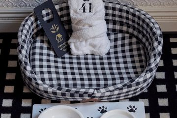 Pet-friendly