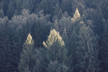 Land view from property