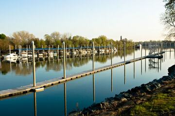 Wedding/Banquet 77 of 84