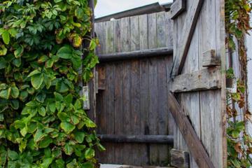 Photo 50