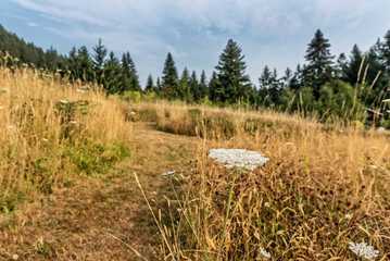 Land view from property