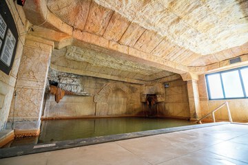 Indoor spa tub