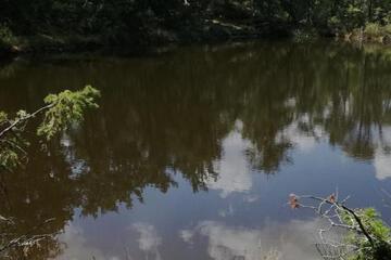 Photo 32