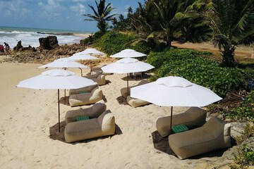 Beach bar