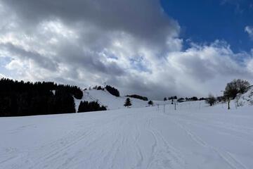 Photo 45