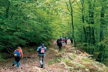 Hiking