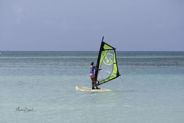 Surfing/boogie boarding