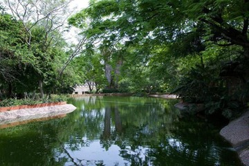 Lake