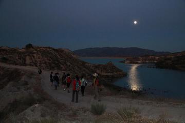 Photo 43