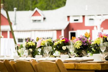 Outdoor wedding area