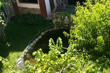 Photo 27